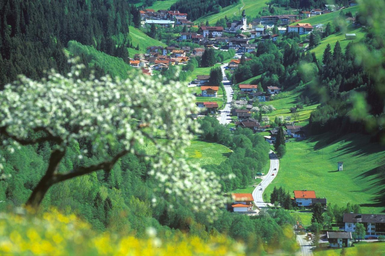 Haus Am Wildbach Hotel Auffach Eksteriør billede